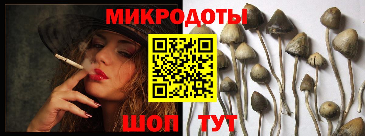 Сафоново  Псилоцибиновые грибы ЛСД  Вход с VPN  Галлюциногенные грибы Cubensis 